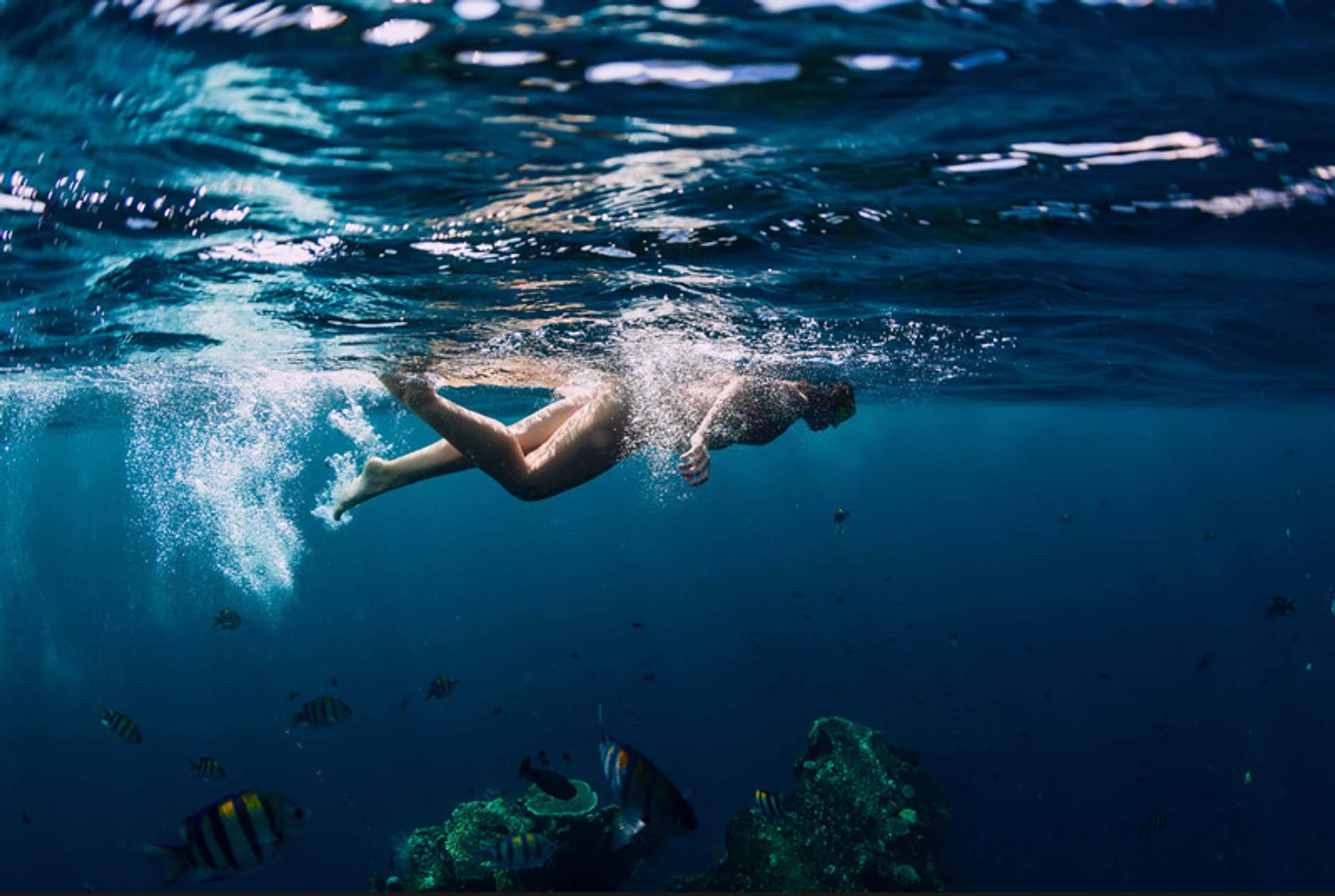Person snorkeling underwater among tropical fish and coral reefs.