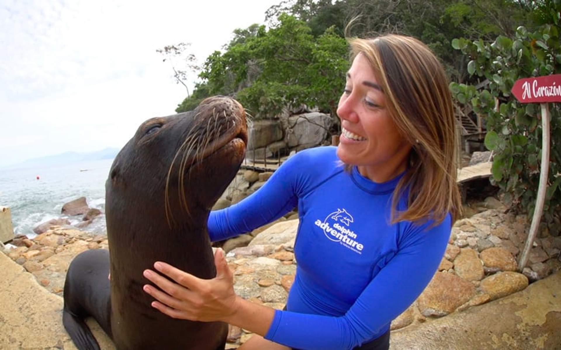 Woman in blue wetsuit smiling at a sea lion on rocky beach.