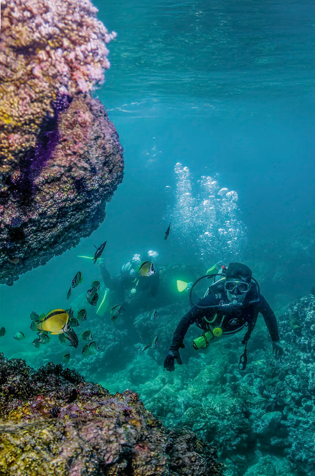 Scuba divers swimming among colorful fish near coral reefs in the Marietas Islands.