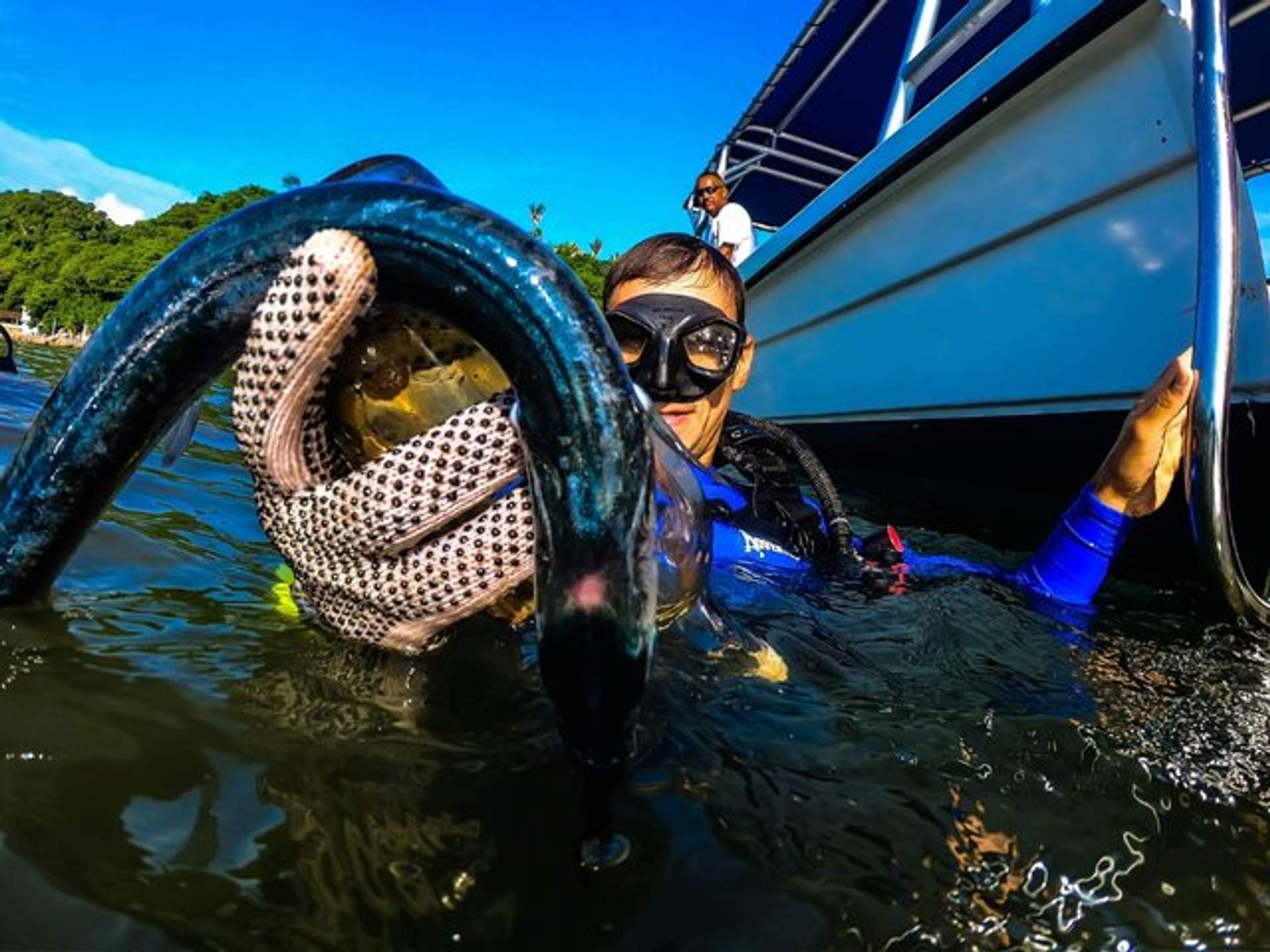 A diver wearing gloves and goggles holds a sea creature while in the water near a boat.