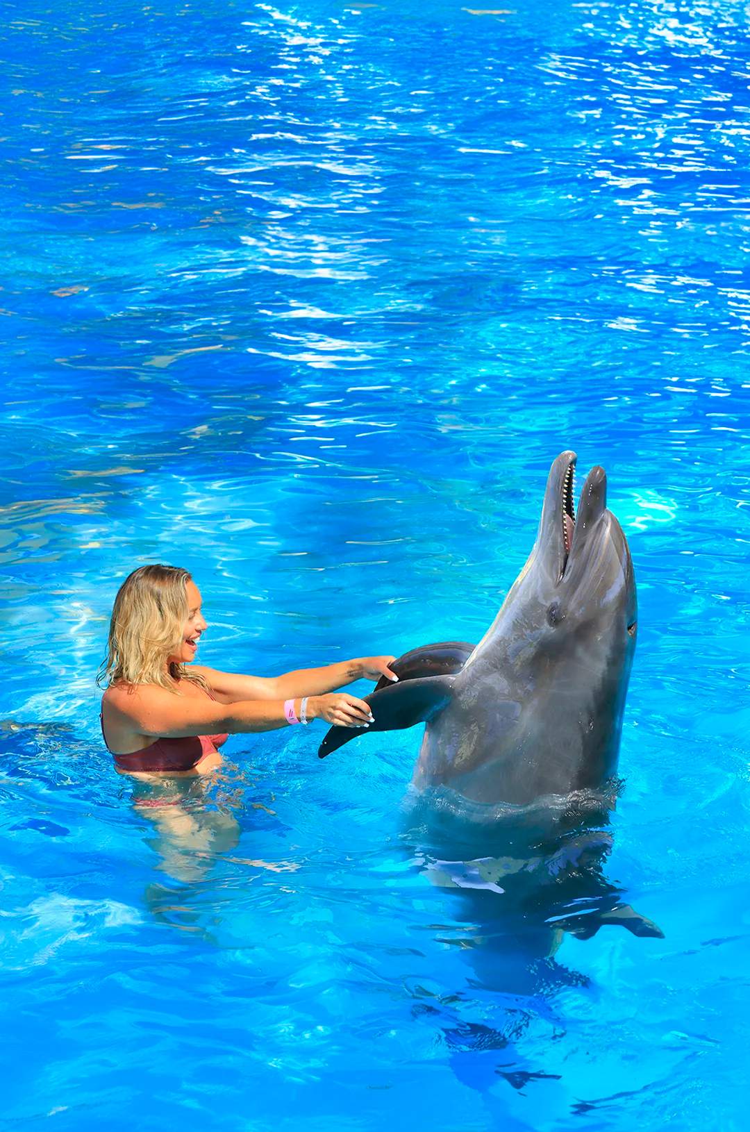 Mujer divirtiéndose con delfines en Puerto Vallarta.