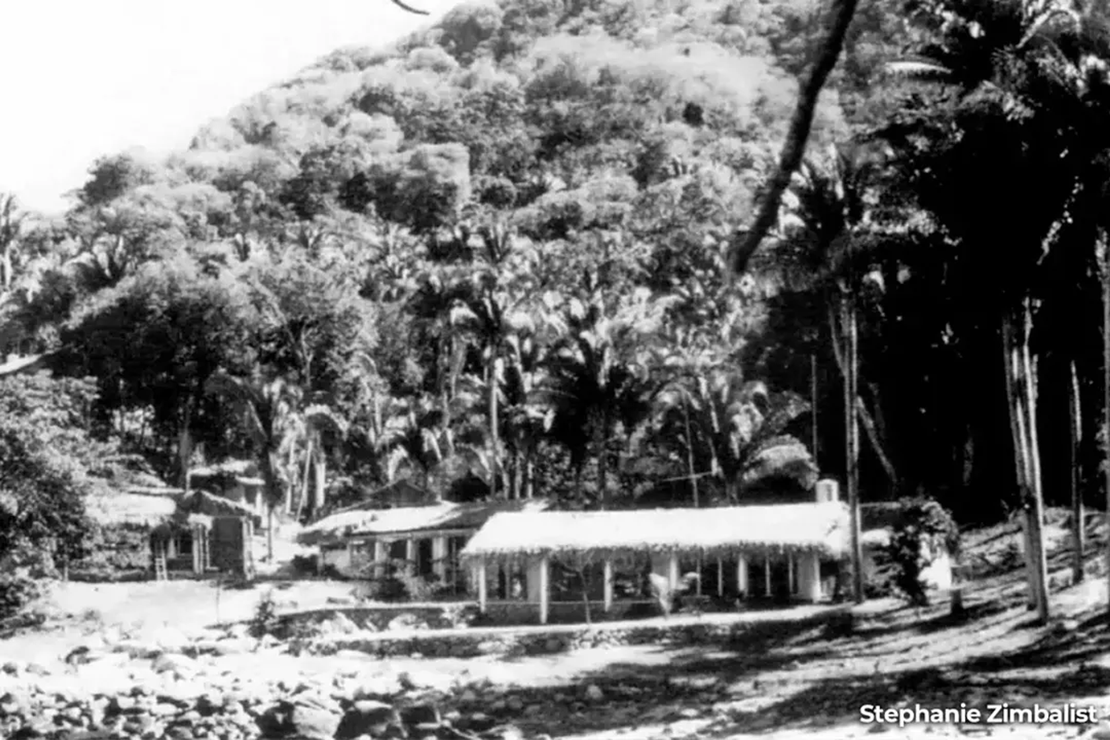 Cabañas rústicas con techo de palma junto al mar, rodeadas de selva densa y altas palmeras.