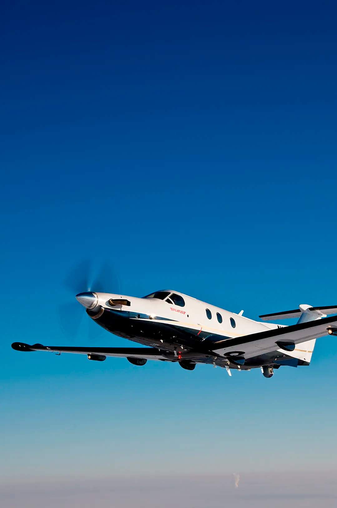 Puerto Vallarta private flights.