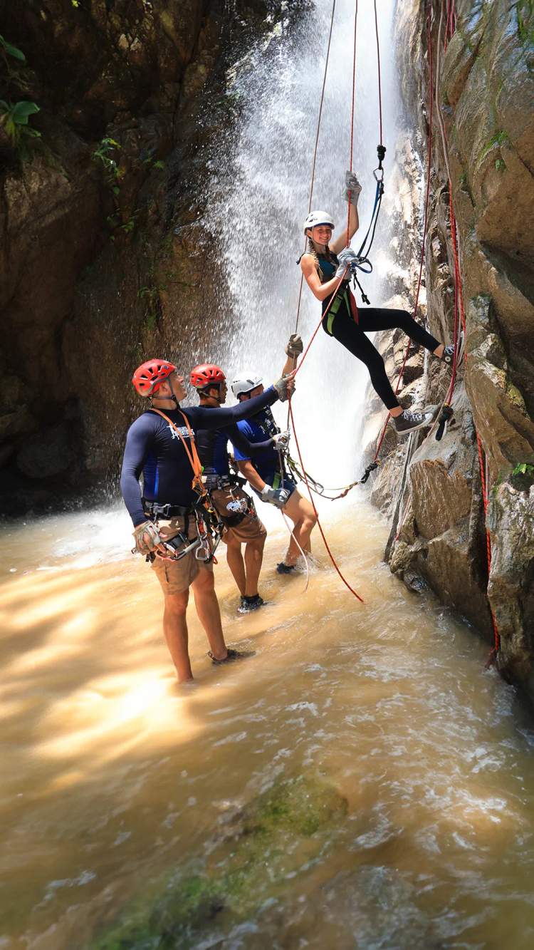 Learn about Vallarta Adventures, the leading Puerto Vallarta Excursions company.