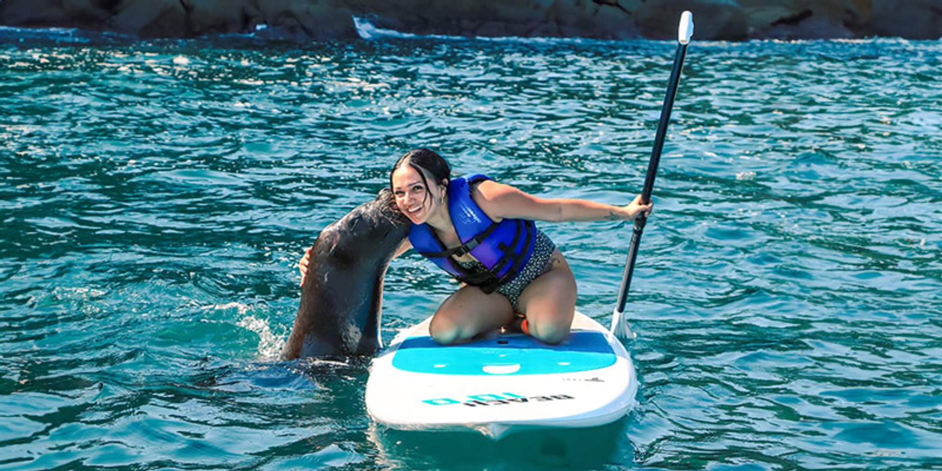 PaddleBoard with a Sea Lion in Vallarta