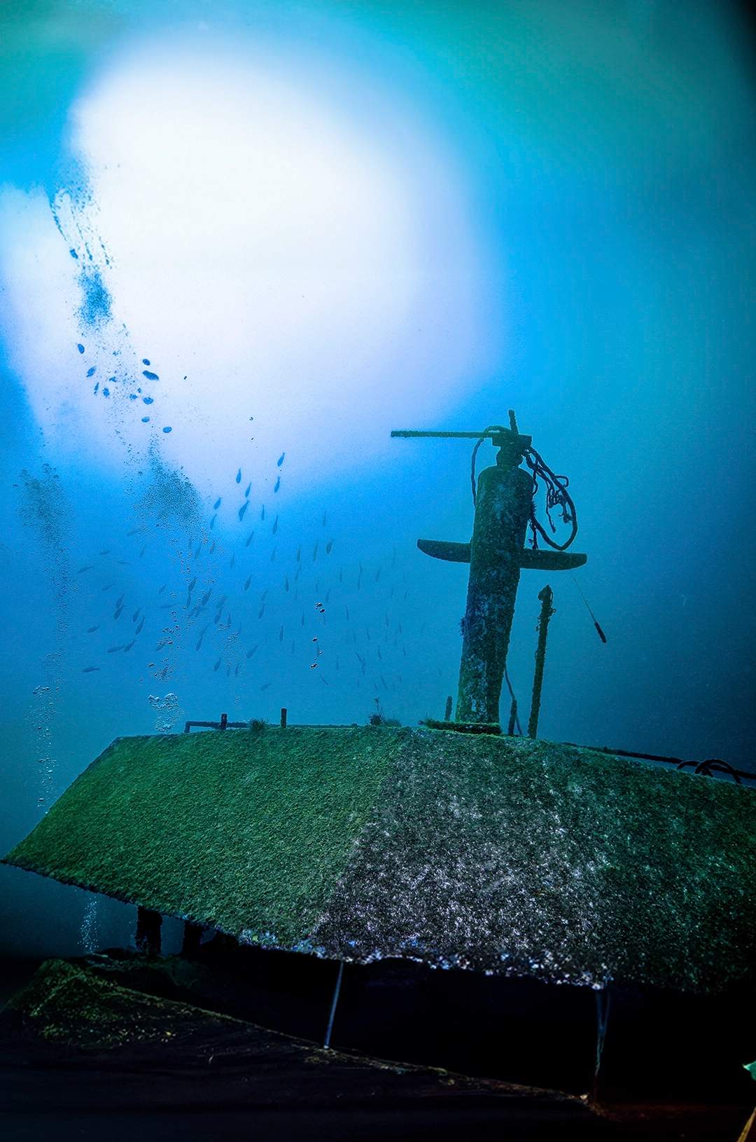 Buceo privado en naufragios en Puerto Vallarta cerca de Mismaloya y Los Arcos, Puerto Vallarta.