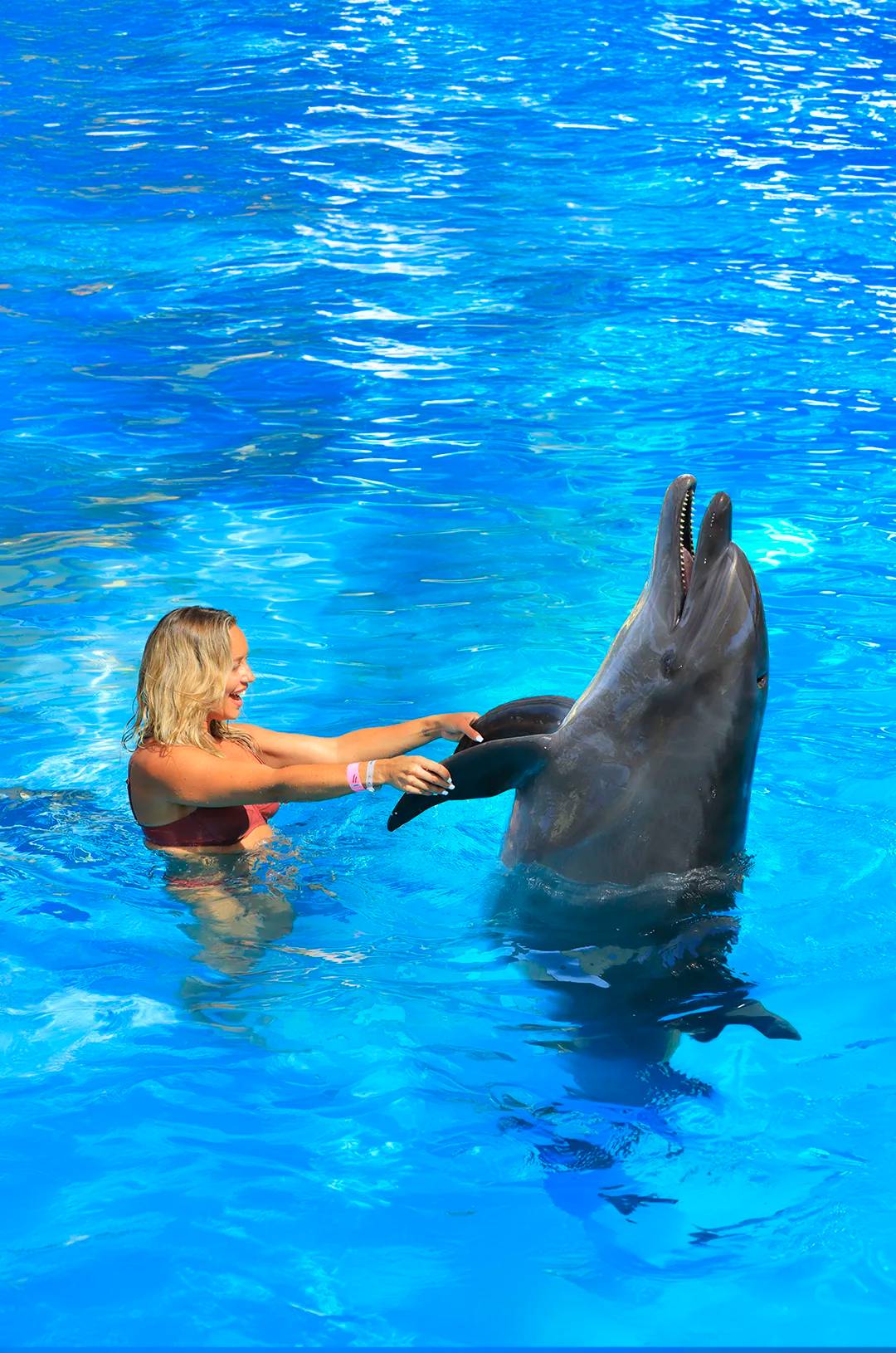 Girl playing with a dolphin in Puerto Vallarta.