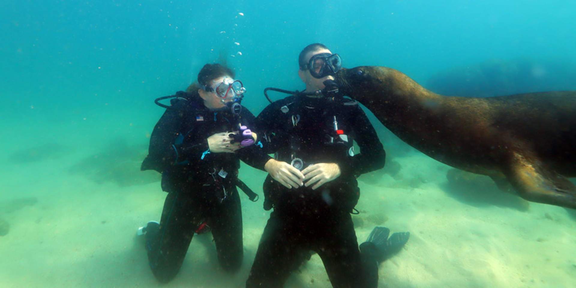 Scuba diving with Sea Lion in Las Caletas