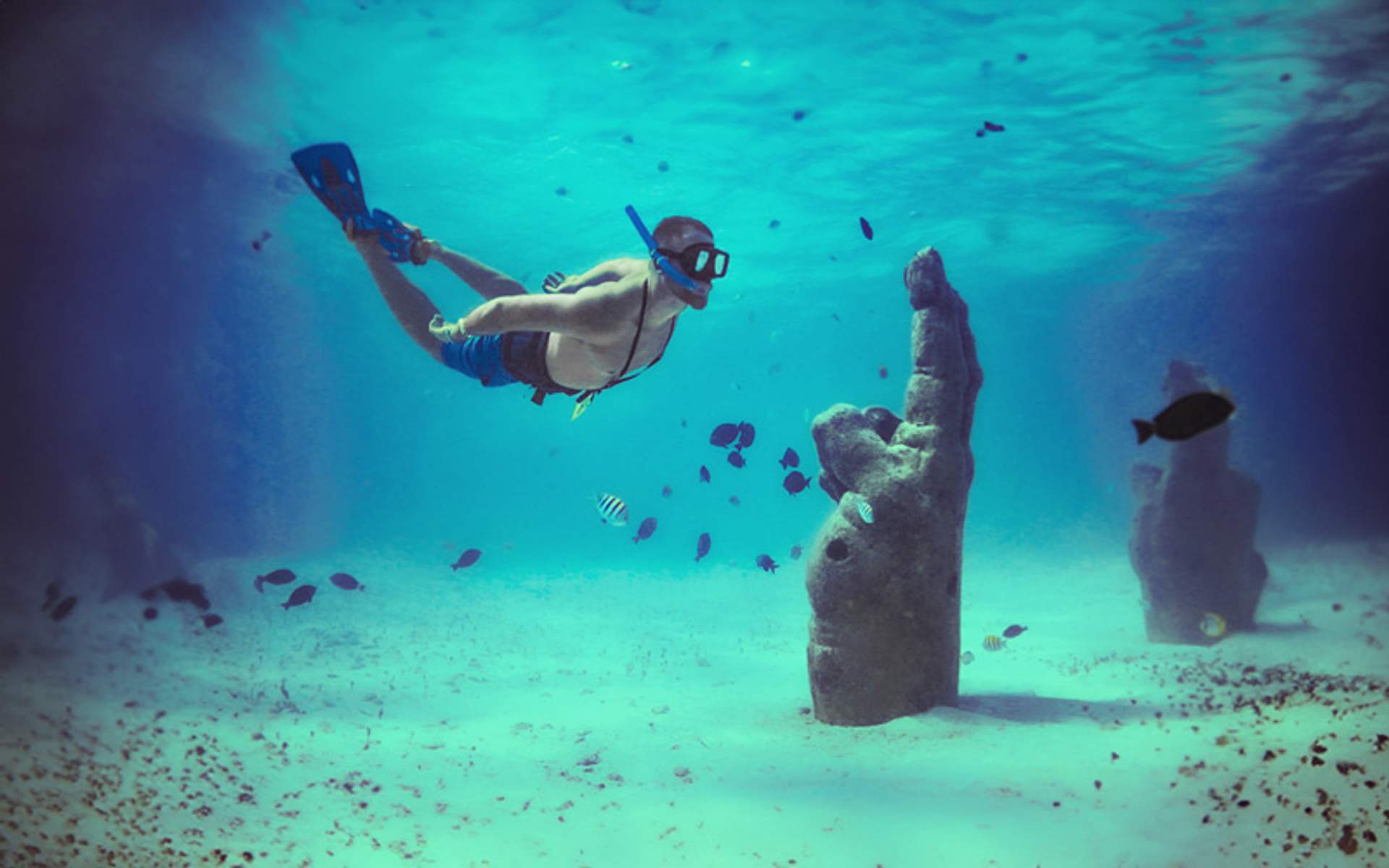 Diver exploring underwater sculptures amidst tropical fish.