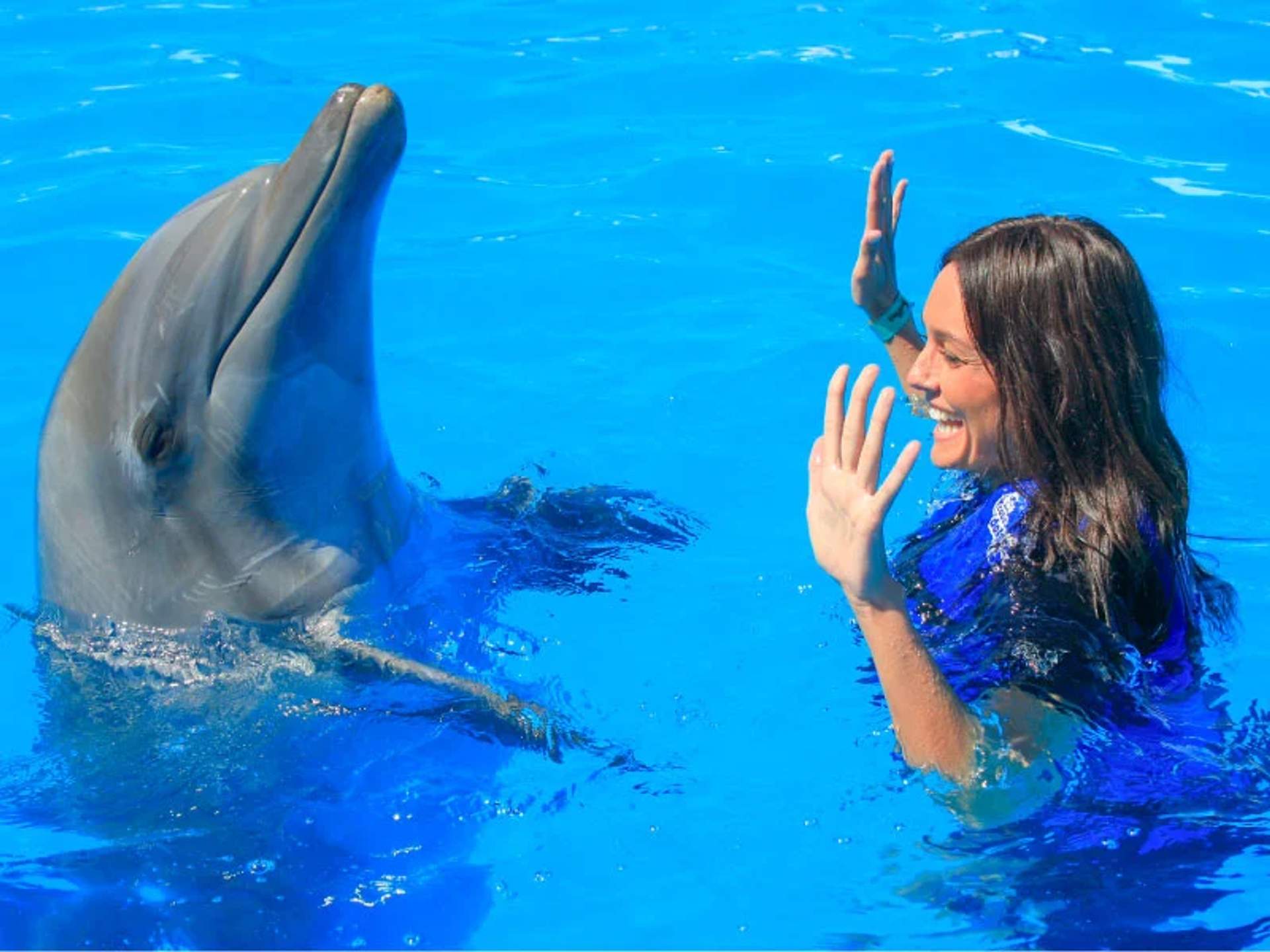 Una mujer usando un chaleco salvavidas azul, está levantando las manos y sonriendo mientras interactúa con un delfín en una piscina de color azul brillante. El delfín está erguido y de frente a ella, pareciendo jugar de manera juguetona.
