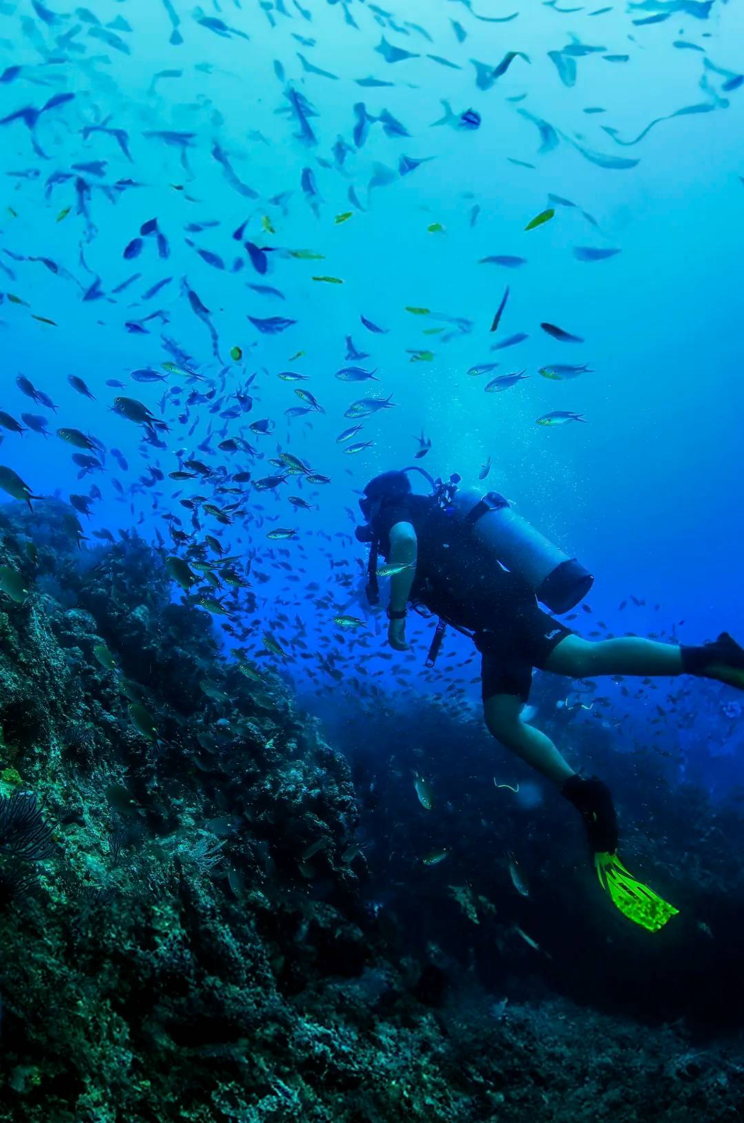 Scuba diving at Los Arcos Mismaloya Puerto Vallarta.