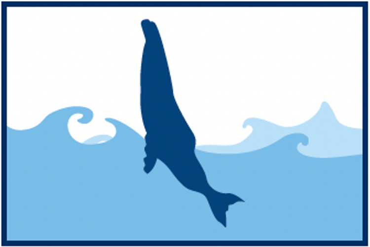 Ilustración de una ballena jorobada exponiendo su cabeza sobre la superficie del agua, mostrando un comportamiento de espionaje.