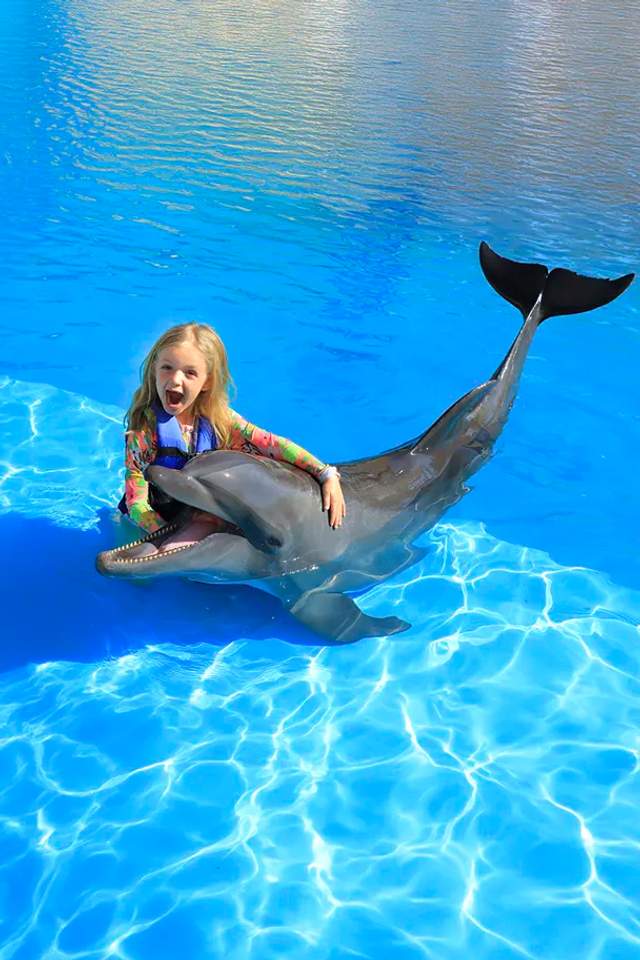Young girl enjoying a dolphin encounter for kids, one of the best things to do with children in Puerto Vallarta.