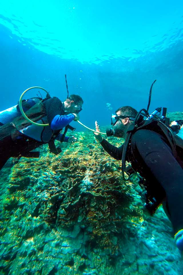 Estudiante tomando el Curso PAD Rescue Diver en el único Centro de Buceo PADI 5 Estrellas en Puerto Vallarta.