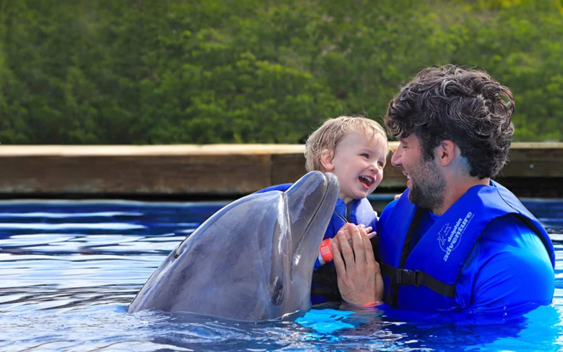 Man and toddler smiling with a dolphin in a blue pool.