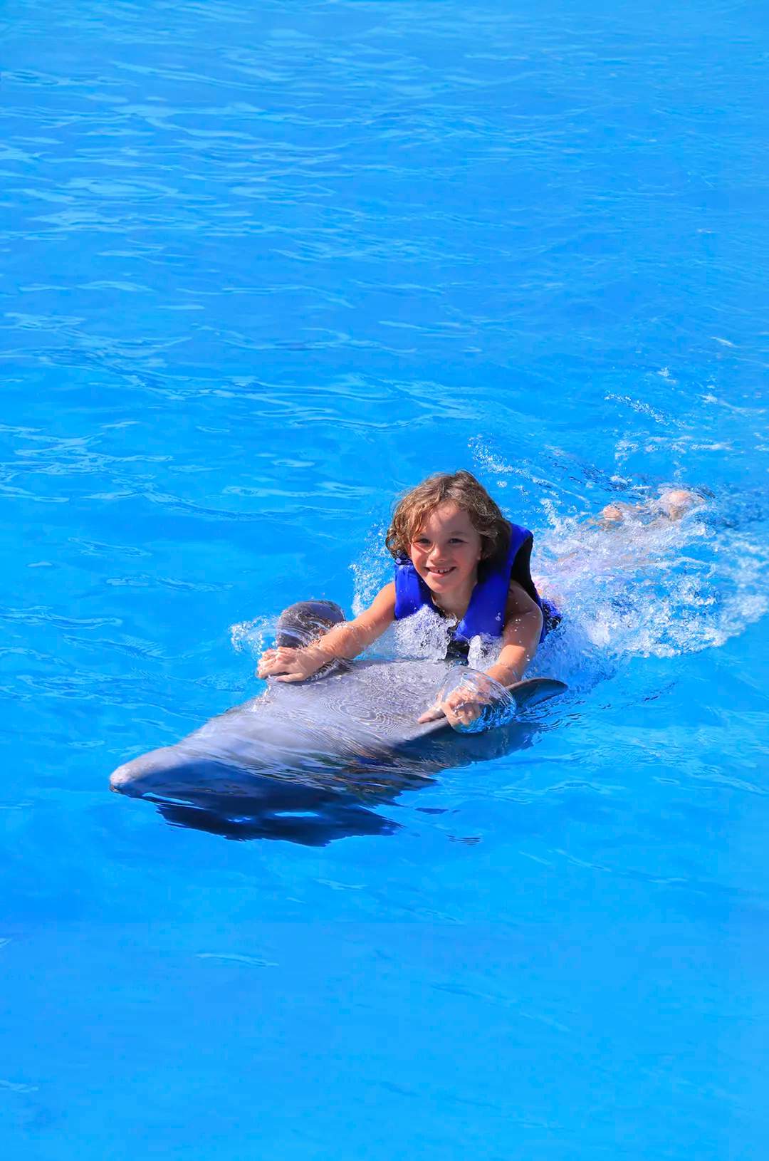 Enjoy an exciting dolphin ride in Puerto Vallarta in the best Marine Mammal Center with world-class facilities.