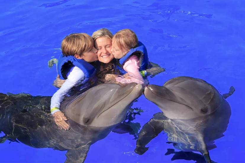 VALLARTA DOLPHIN SWIM: HOW TO SELECT THE RIGHT DOLPHIN EXPERIENCE FOR YOUR FAMILY