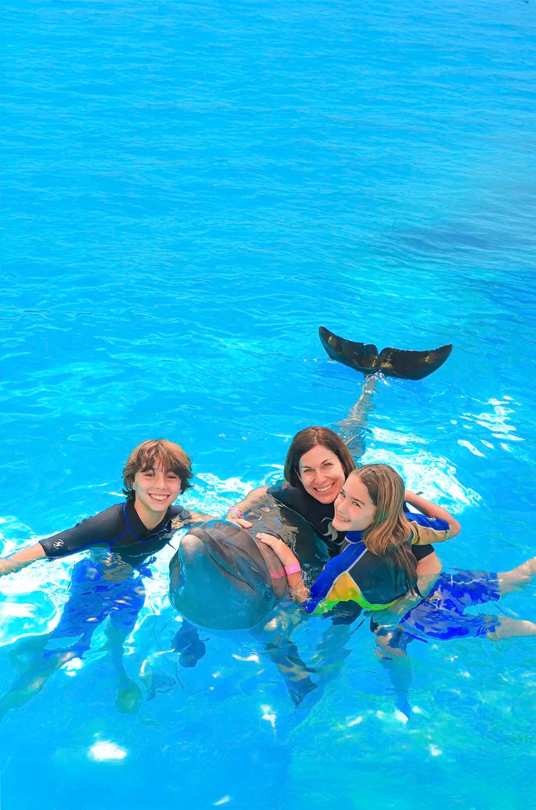 Family sharing happy moments with a dolphin in Puerto Vallarta.