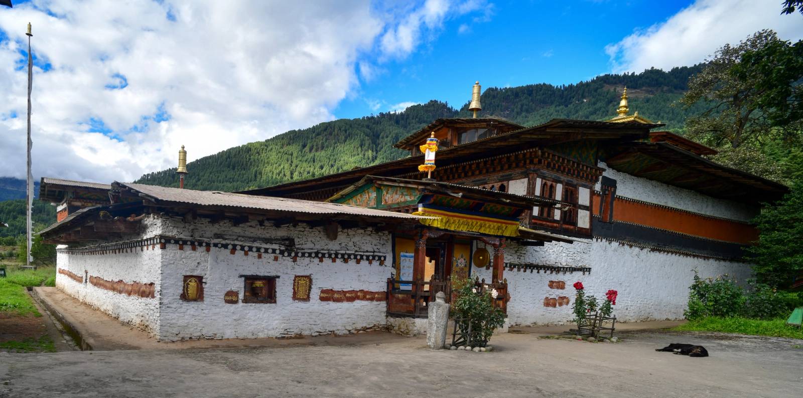 The whitewashed walls and gilded roof finials of Tamshing Lhakhang below a forested hill