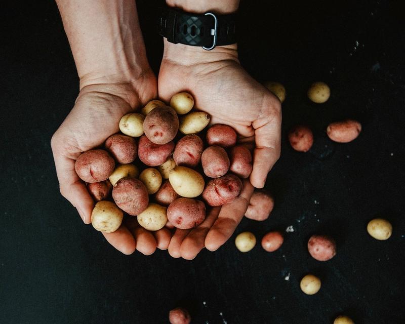 pommes de terre colorées