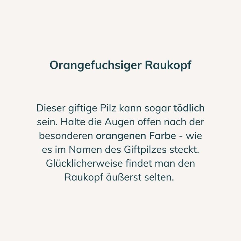 Orangefuchsiger Raukopf Beschreibung