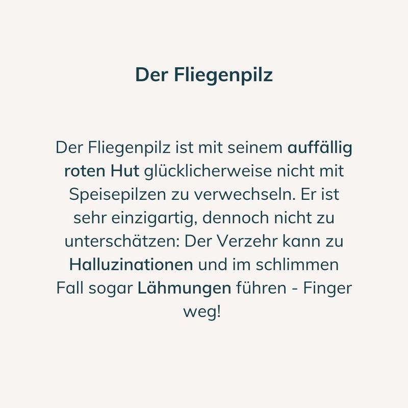 Fliegenpilz