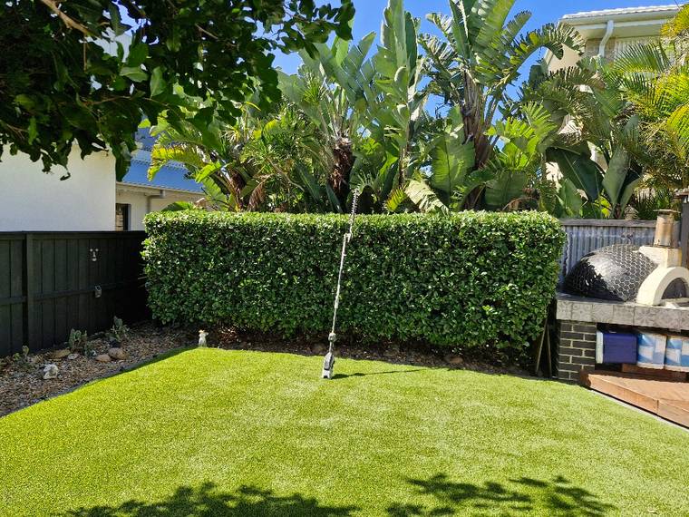 A neatly trimmed hedge beside a tidy green backyard