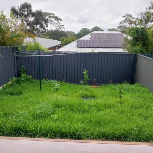 An overgrown Sutherland Shire backyard with long, unmown grass before Brady mowed it