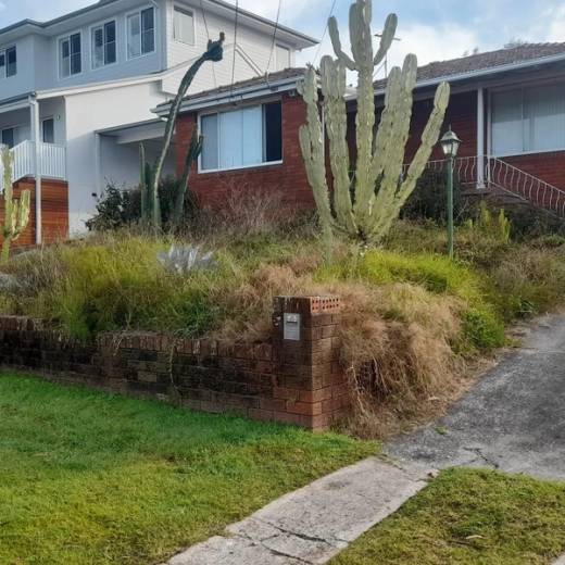 A weed-choked front garden bed along a brick retaining wall before tidying