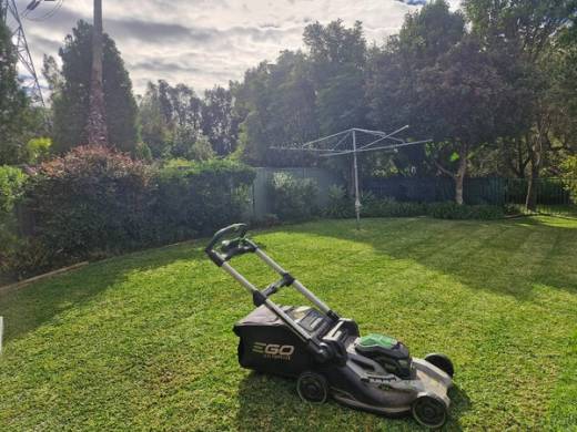 Brady's battery mower on a freshly cut backyard lawn