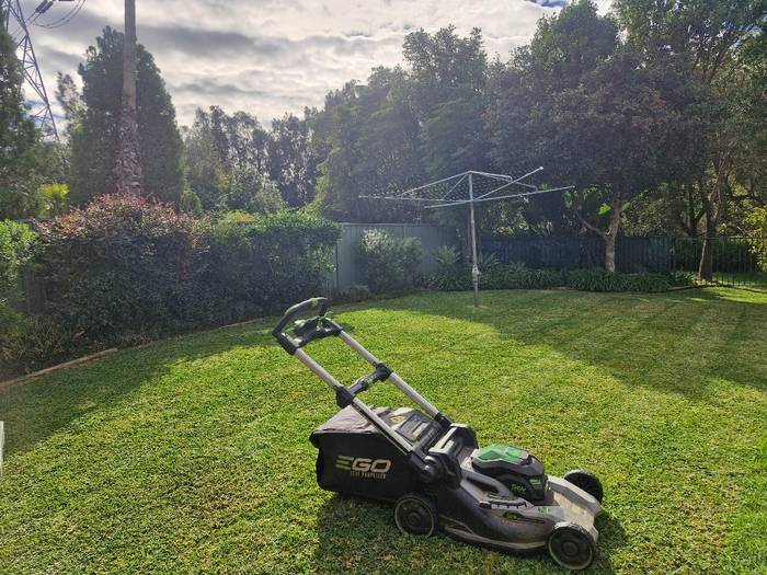 Brady's battery mower on a freshly cut backyard lawn