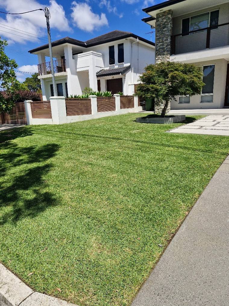 A manicured front lawn outside a modern Sutherland Shire home