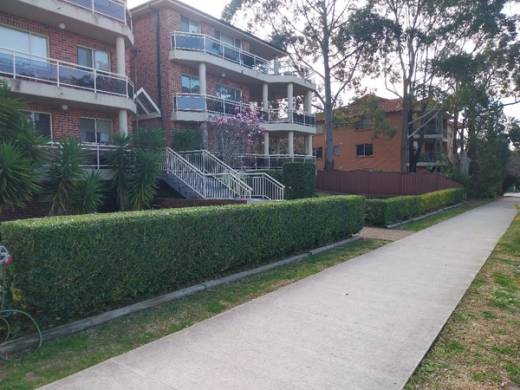 A clipped hedge line running along a Sutherland Shire footpath