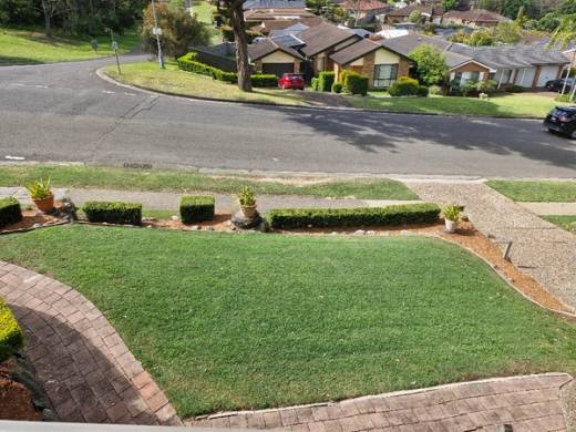 A neat, edged front lawn framed by clipped hedges on a Shire street