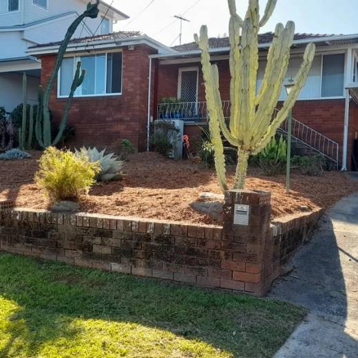 The same front garden cleared and topped with fresh bark mulch