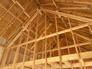 IMG_0331.jpg