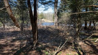 IMG_7339.JPG