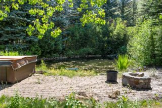 202 Cottonwood -15.jpg