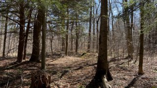 IMG_7343.JPG