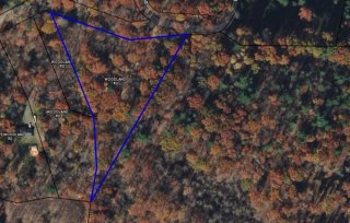 woodland-lot.jpg