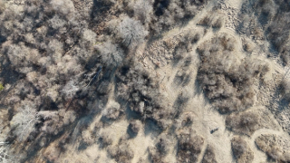 Screenshot 2025-03-15 at 7.20.37 PM.png