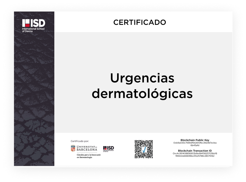 ISD - Objetivos del curso
