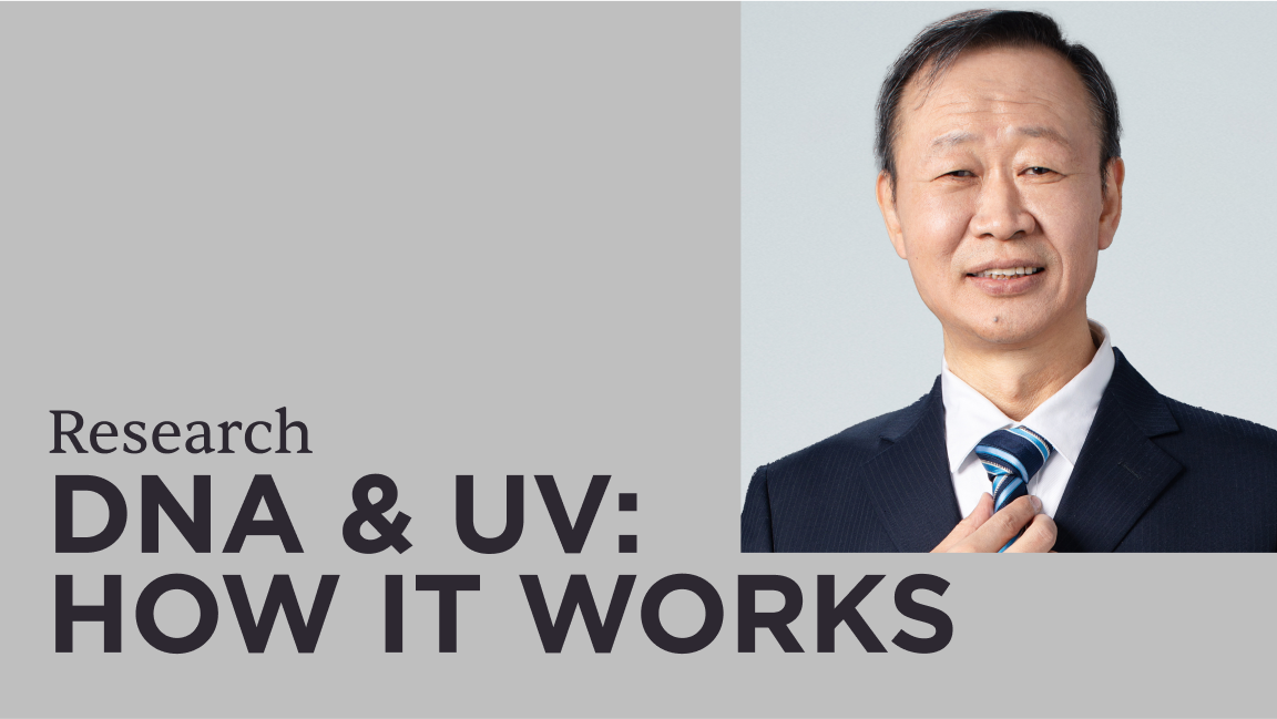DNA damage induced by UV and DNA repair ability, how does it work?
