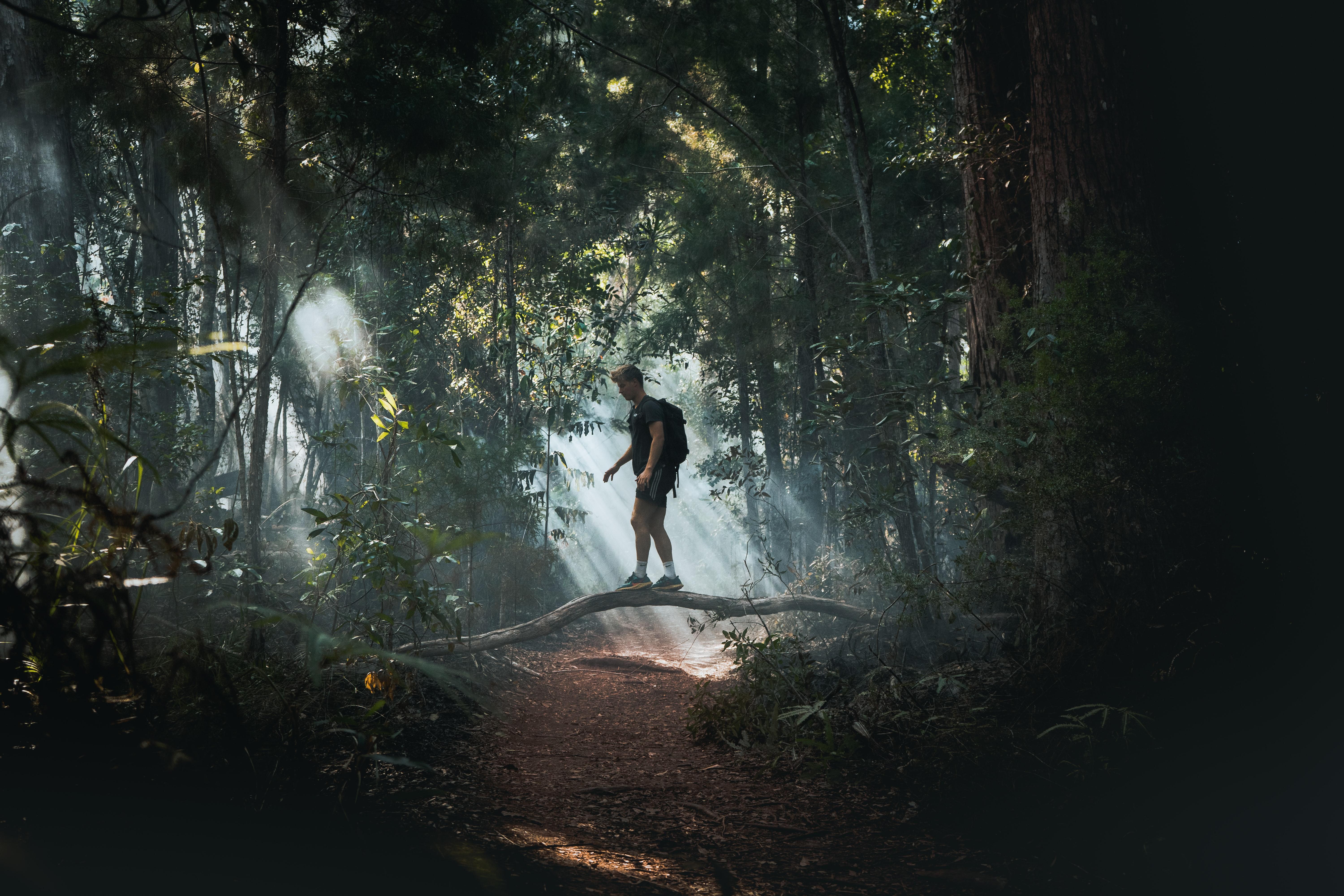 Man in Deep Forest
