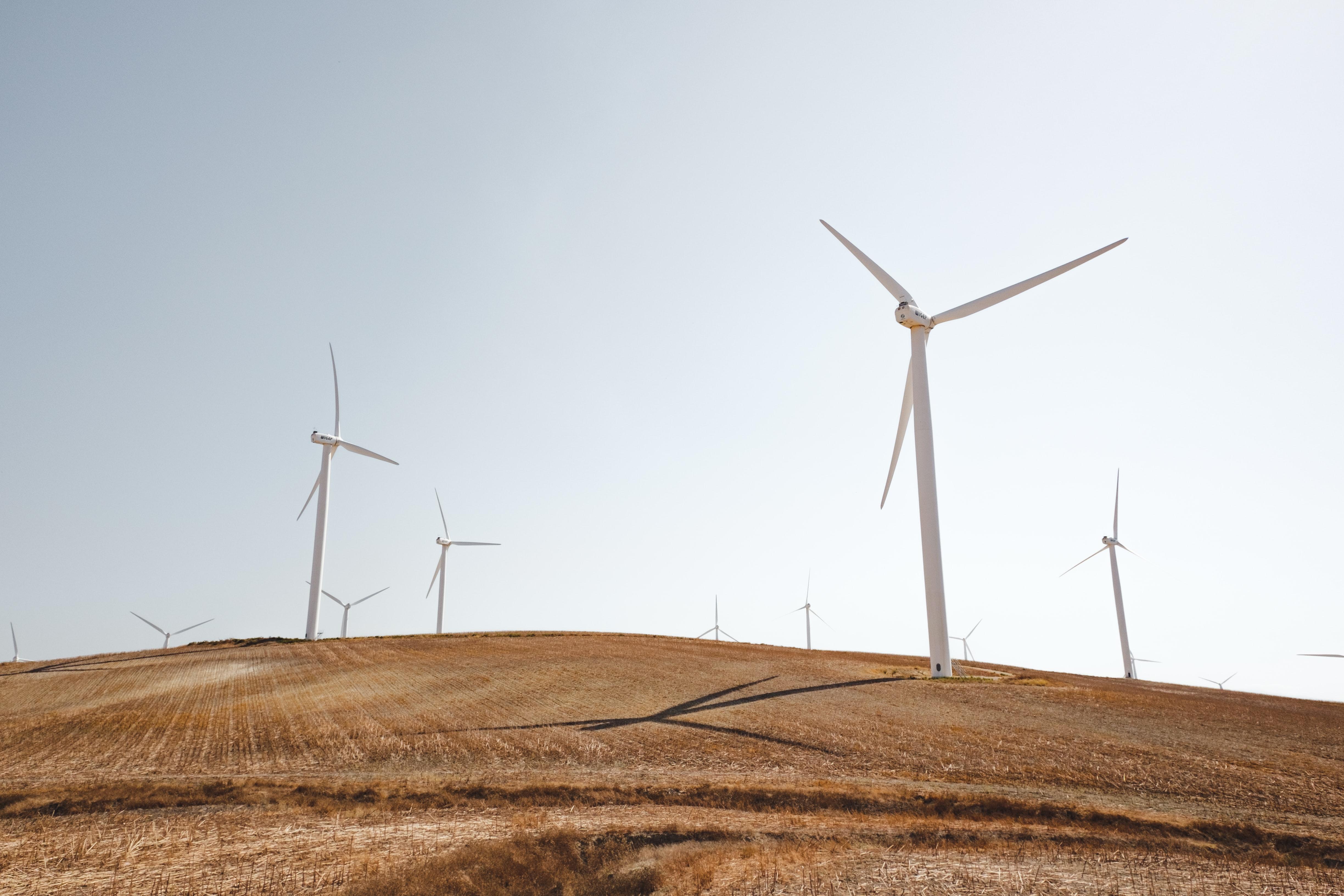 Windmill on farmland