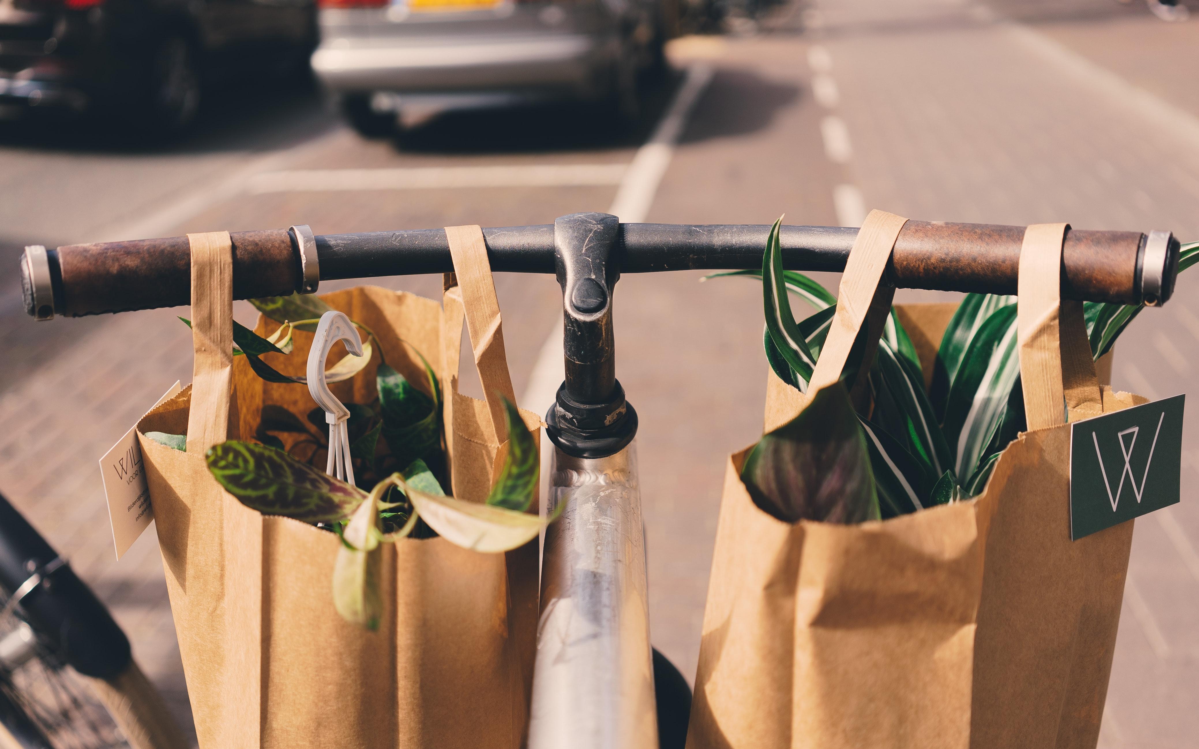 Paper Bags on a Bike