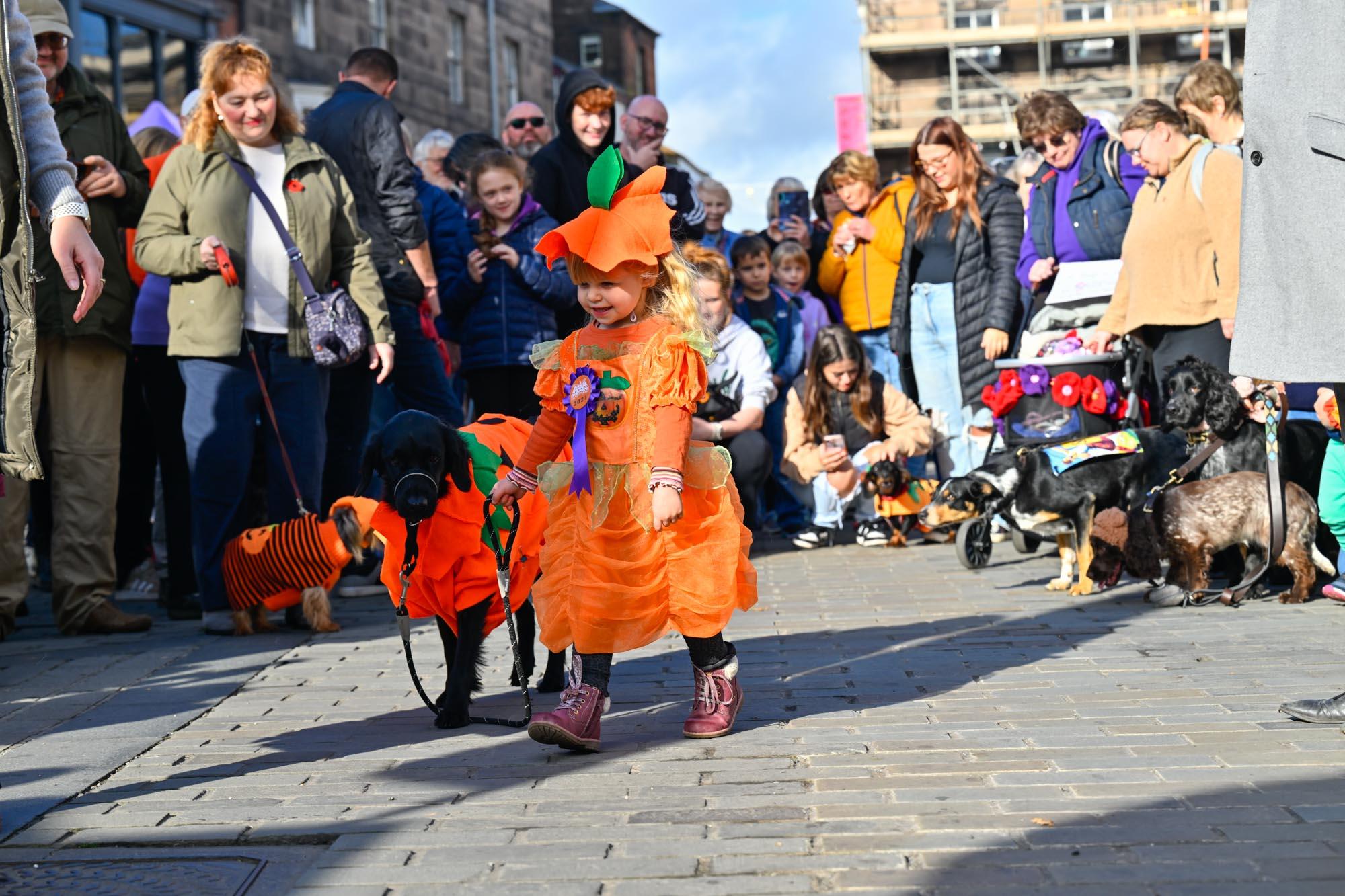 A girl and a dog both in costume as pumpkins