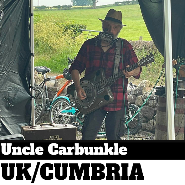 Musician on stage with guitar and harmonica