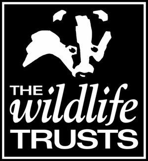 the wildlife trusts logo