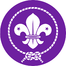 scout logo